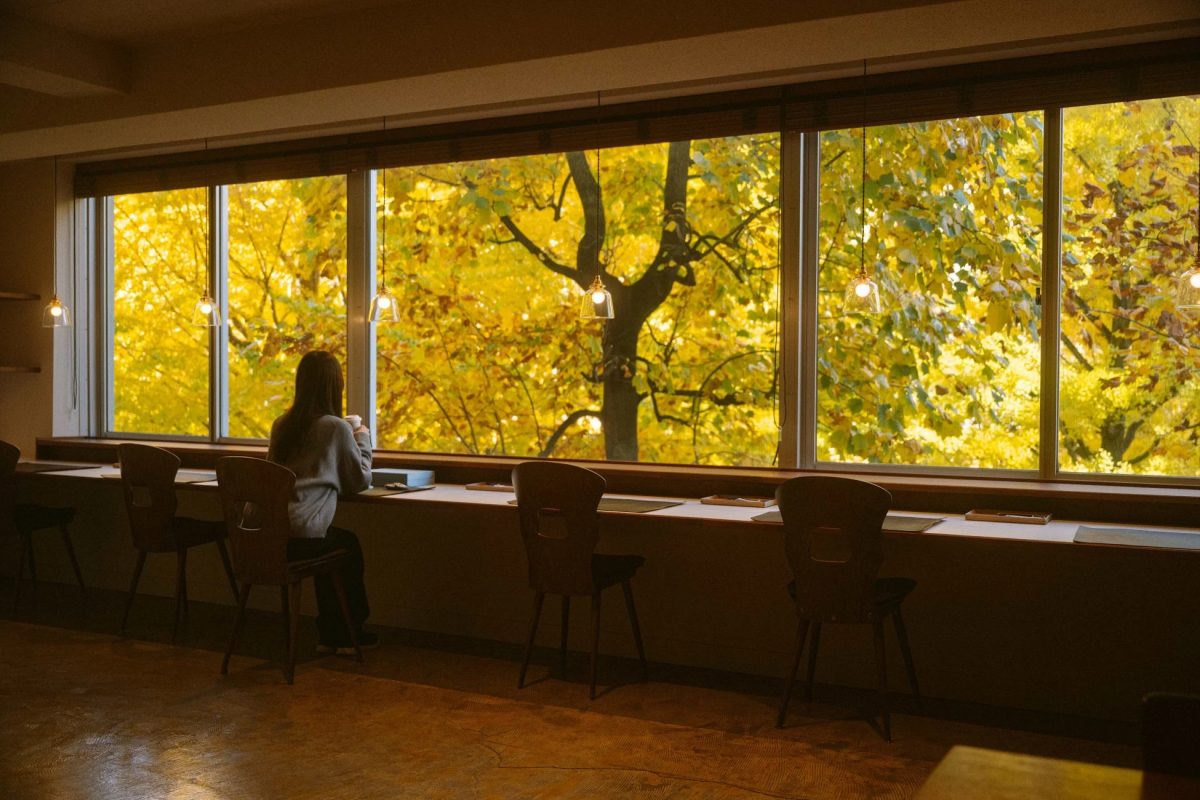 秋、紅葉、窓、室内、カフェ、女性、風景、自然、落ち着いた、黄色、読書、勉強、癒し