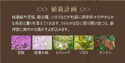 杜庭の植栽計画を紹介