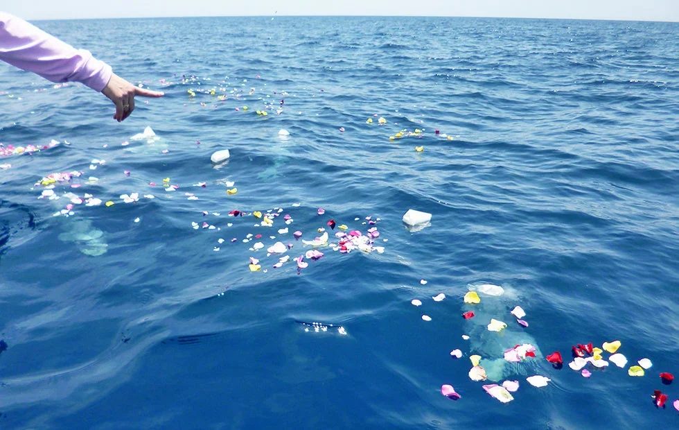青い海に花びらが浮かび、水面を指し示す手が捉えられています。故人を偲ぶ散骨や水上供養の儀式が行われている様子を思わせる、穏やかで厳粛な瞬間です。