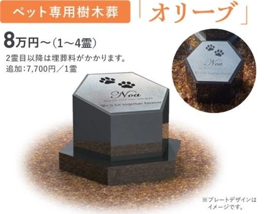 ペット専用樹木葬「オリーブ」