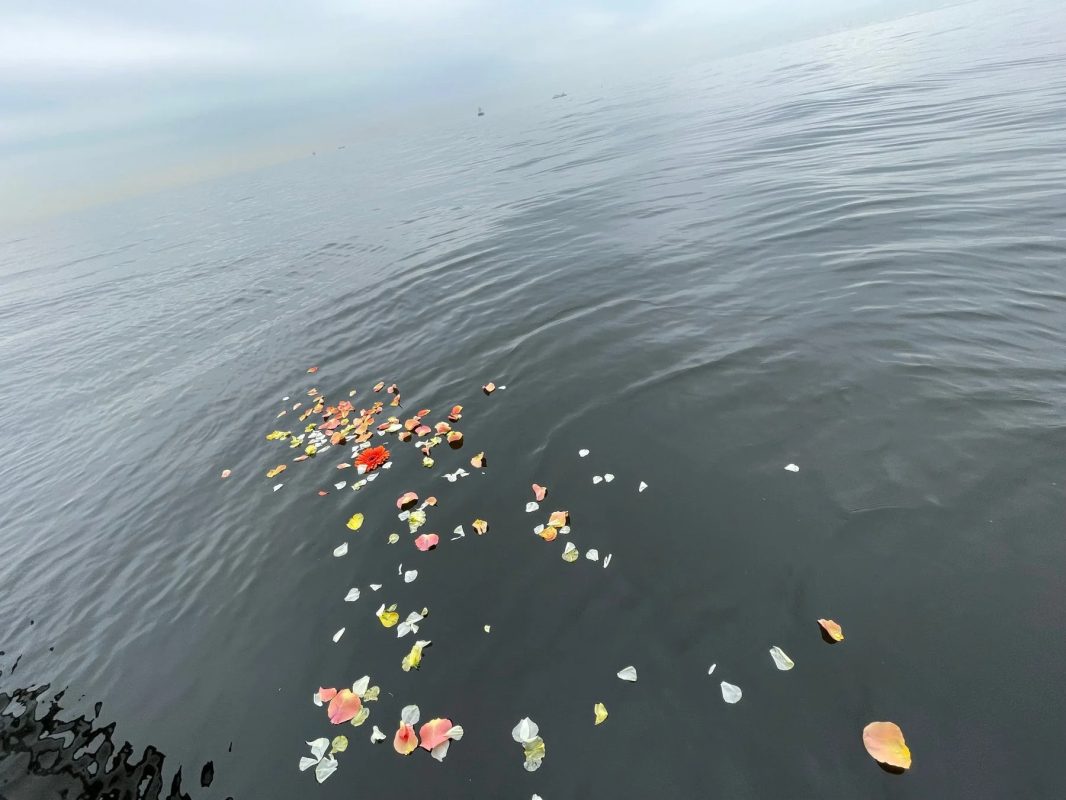 海に浮かぶ花びら