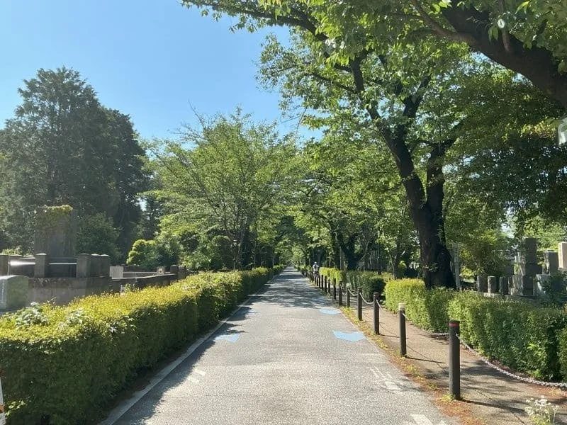 都立青山霊園