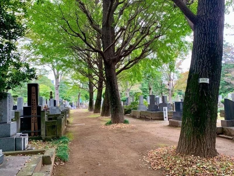 都立雑司ヶ谷霊園