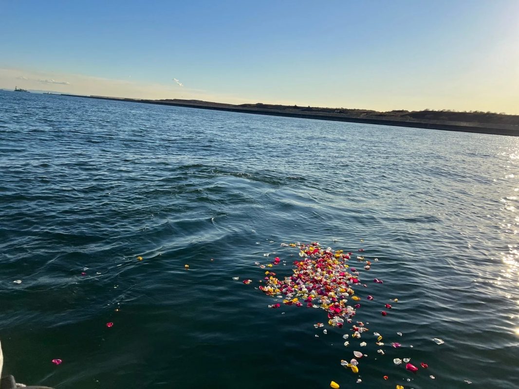 海に浮かぶ花びら