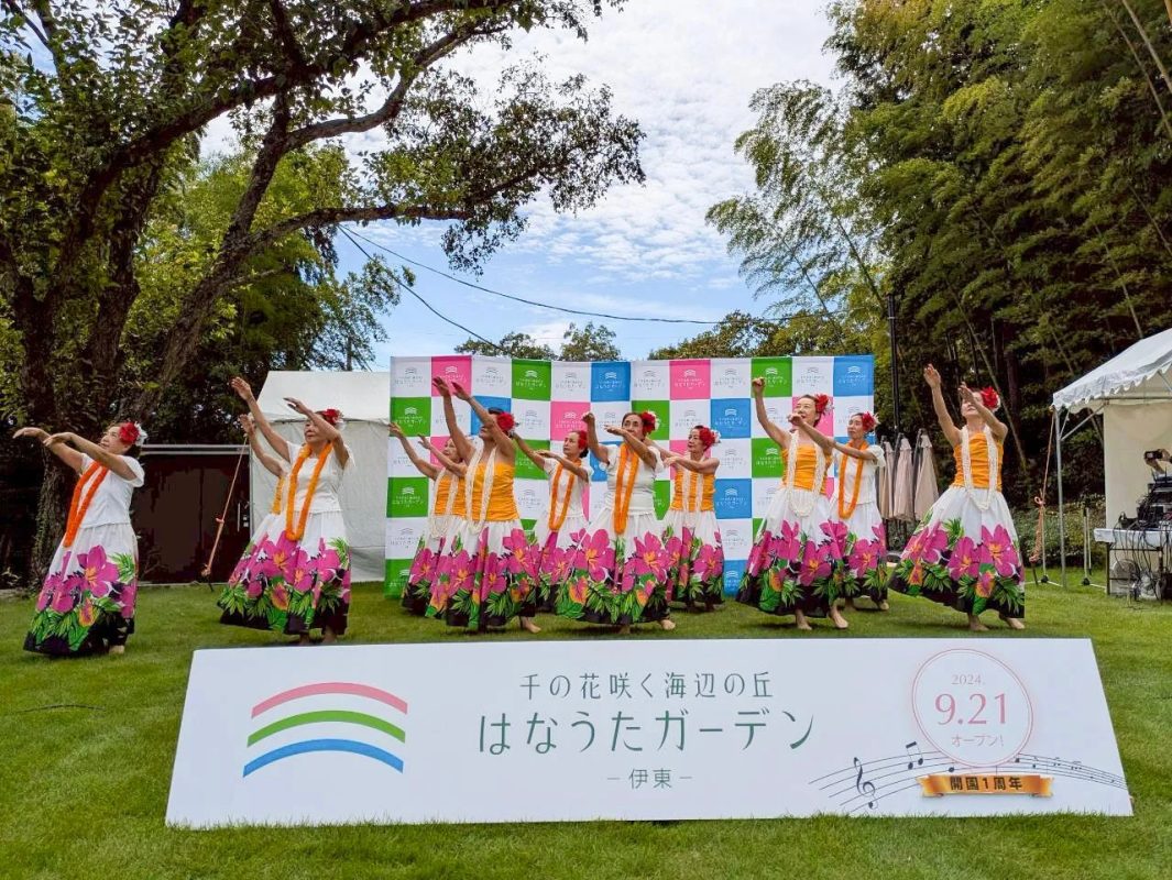 フラダンス